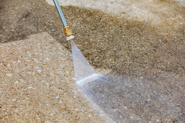 Best Building Exterior Washing  in Lynwood, IL